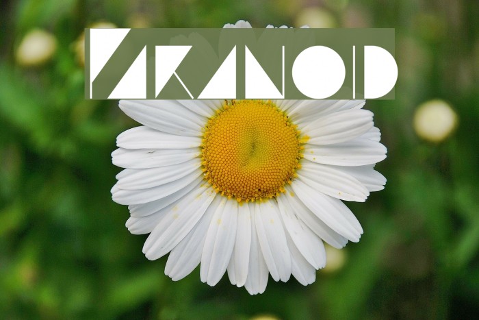 Paranoid Font examples