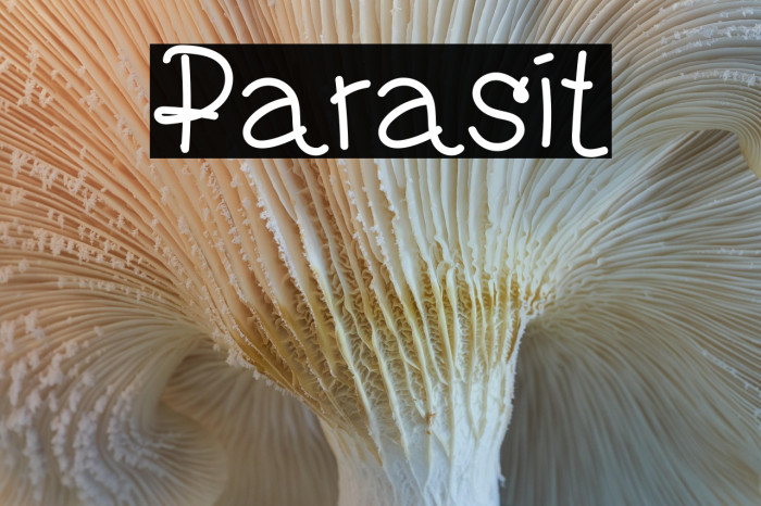 Parasit Example 1