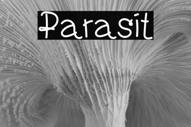 Parasit Font examples