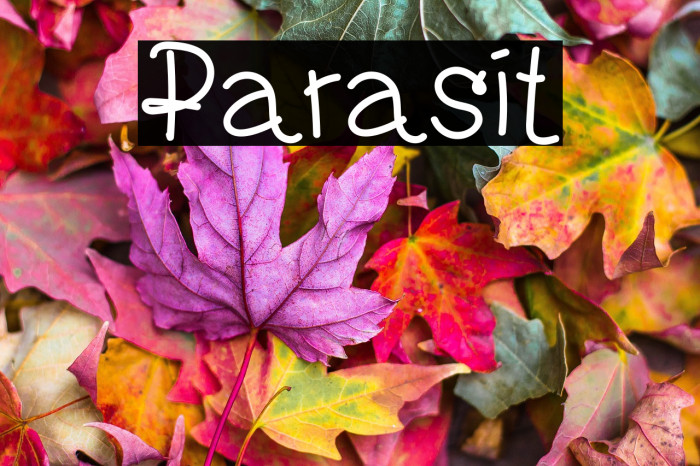Parasit Example 2