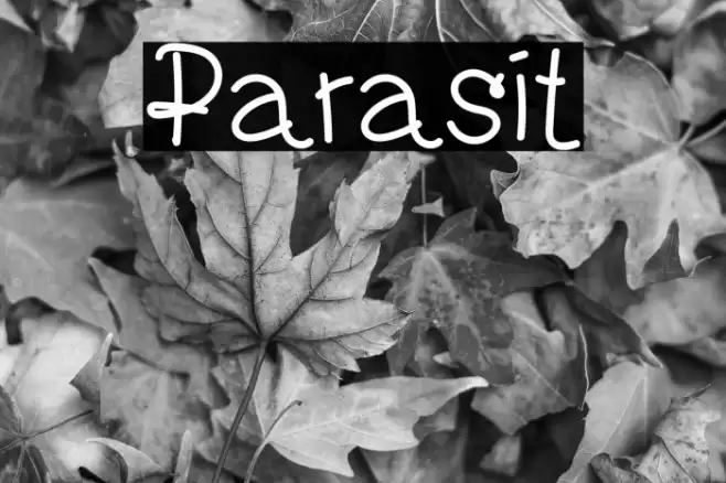 Parasit Font examples