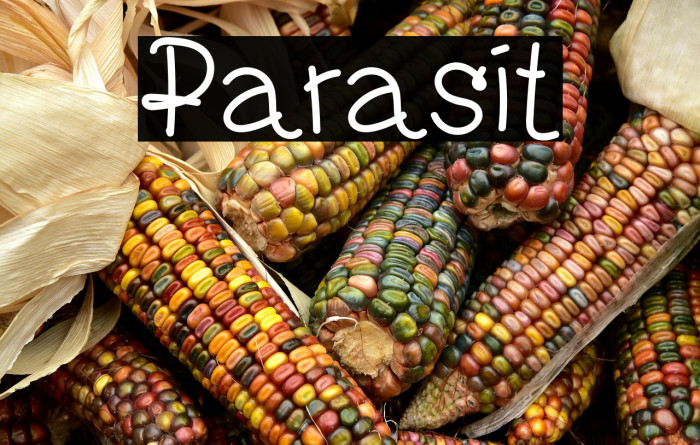 Parasit Example 3
