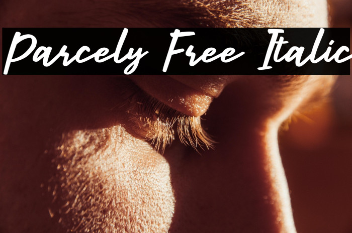 Parcely Free Italic Example 2