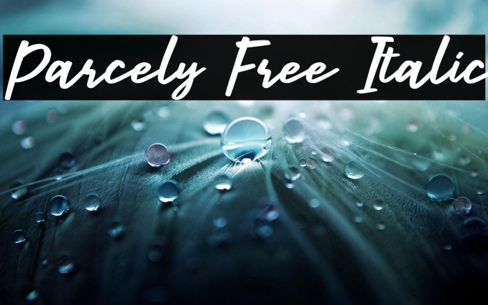 Parcely Free Italic Example 3