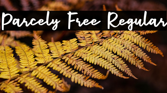 Parcely Free Regular Example 1
