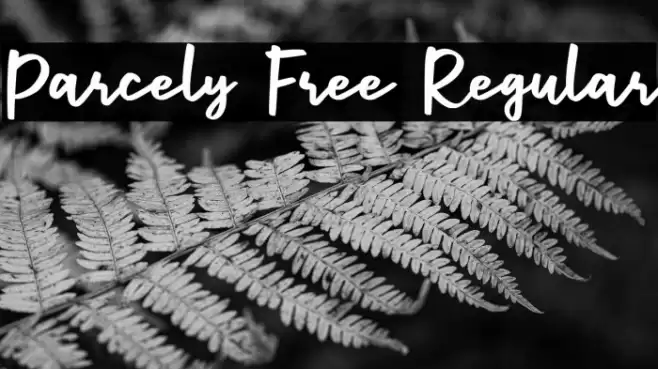 Parcely Free Regular Font examples