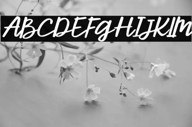 ParcelyFree-Italic Font examples