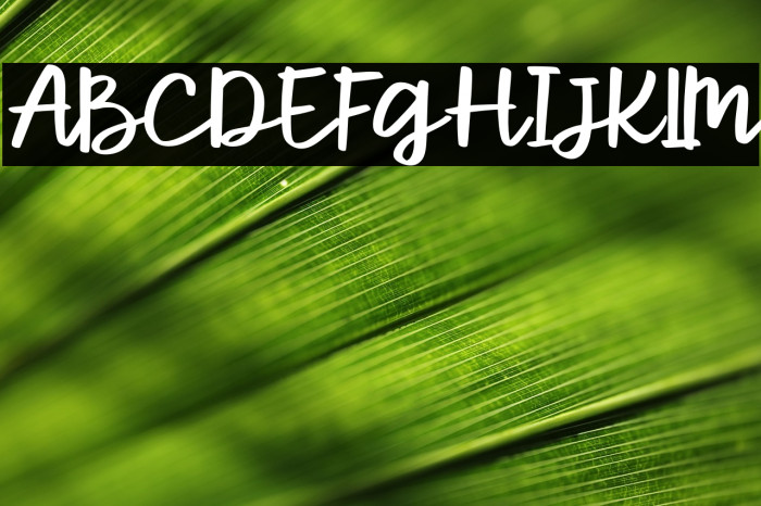 ParcelyFree-Regular Example 1