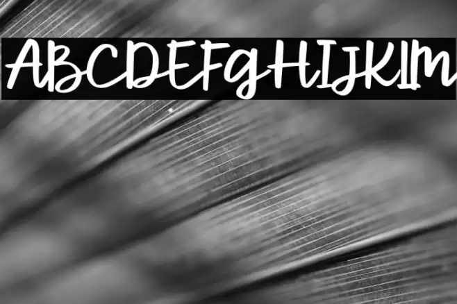 ParcelyFree-Regular Font examples