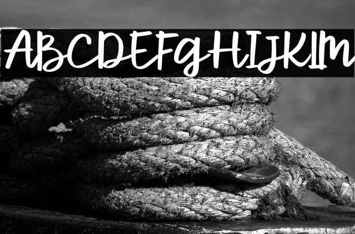 ParcelyFree-Regular Example 2