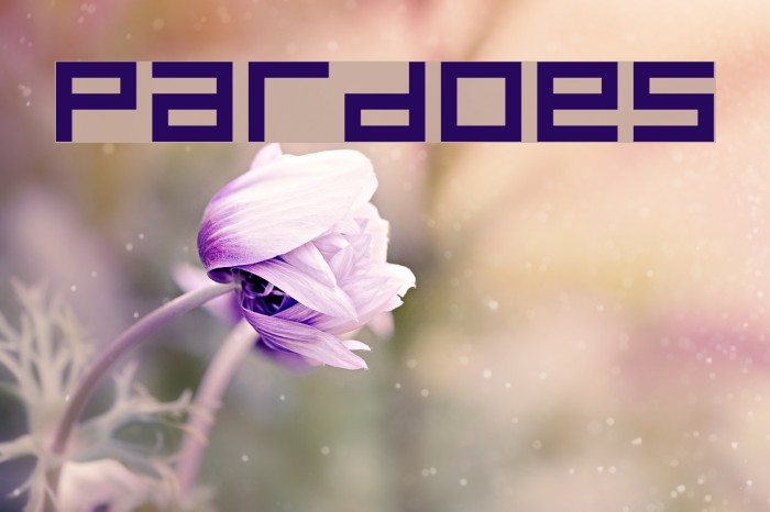 Pardoes Font examples