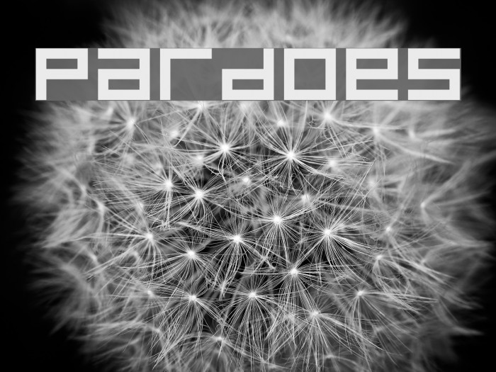 Pardoes Font examples