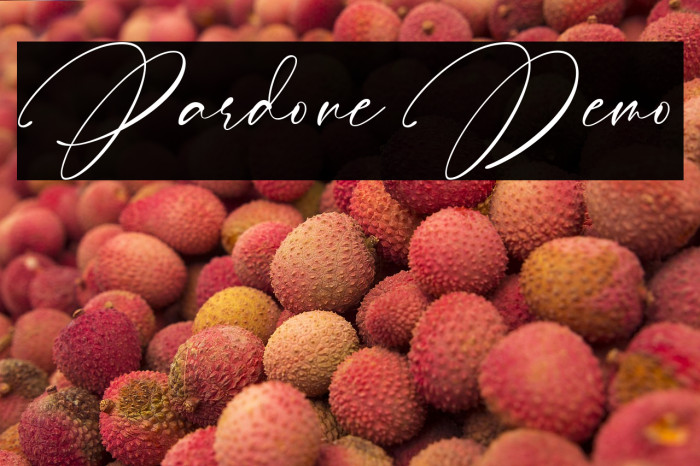 Pardone Demo Example 2