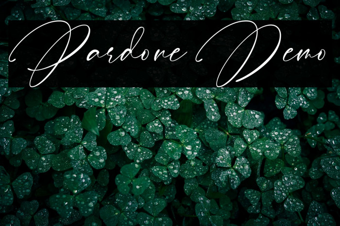 Pardone Demo Example 3