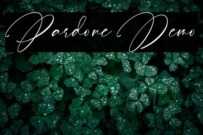 Pardone Demo Example 3