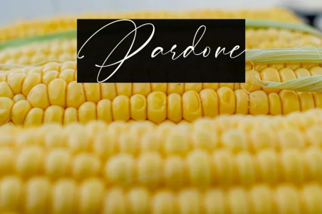 Pardone Example 1