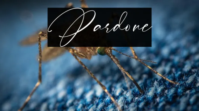 Pardone Example 3