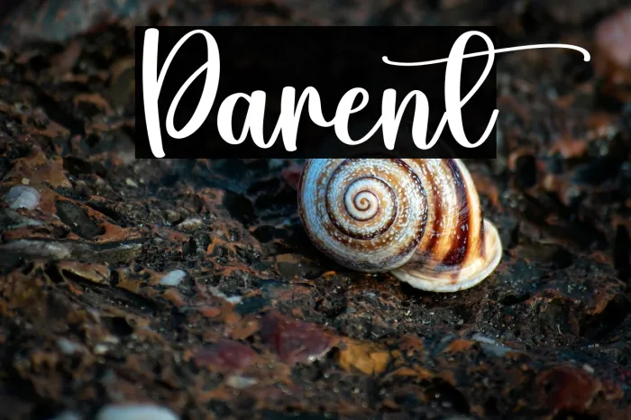 Parent Example 2