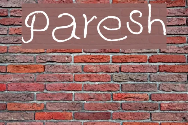 Paresh Example 3