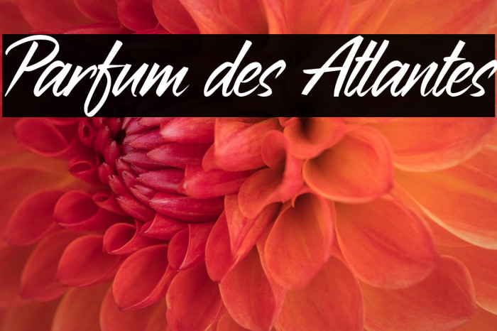 Parfum des Atlantes Example 3