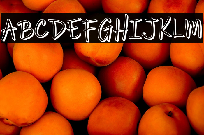 Pargit Demo Example 1