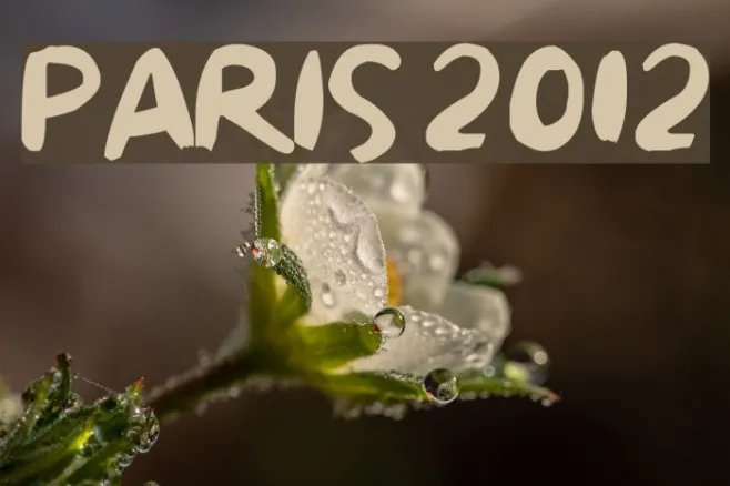Paris 2012 Example 2