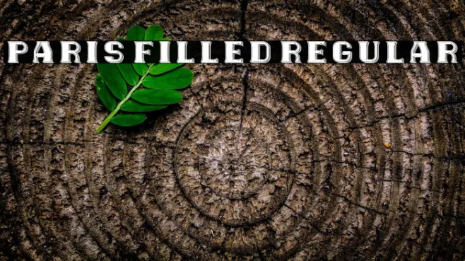 Paris Filled Regular Example 2