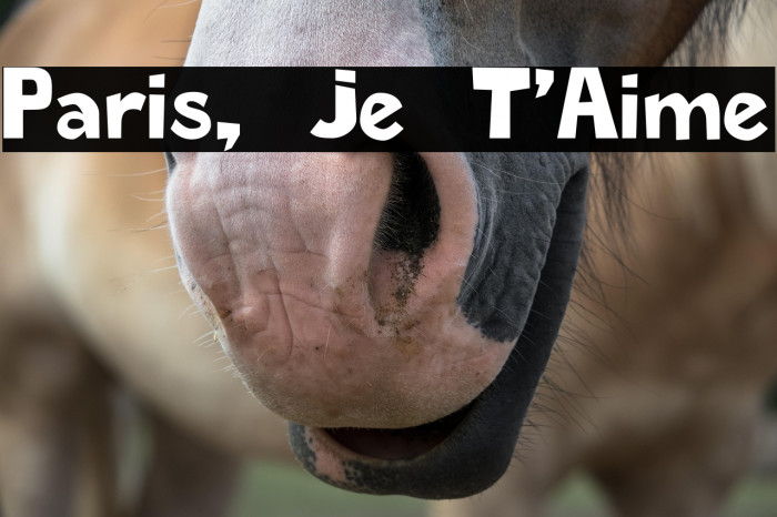 Paris, Je T'Aime Example 3