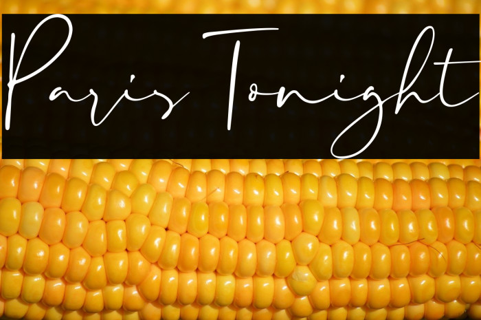 Paris Tonight Example 2