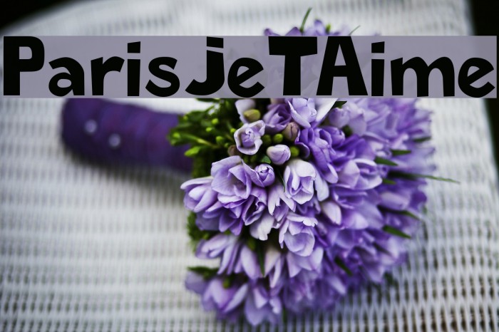 ParisJeTAime Font examples
