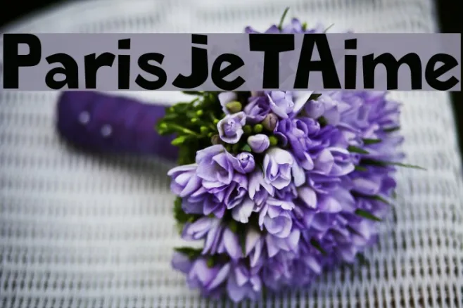 ParisJeTAime Example 3