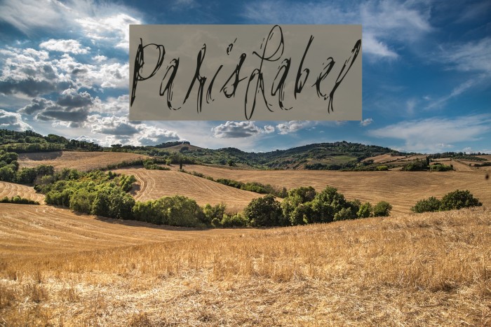 ParisLabel Font examples