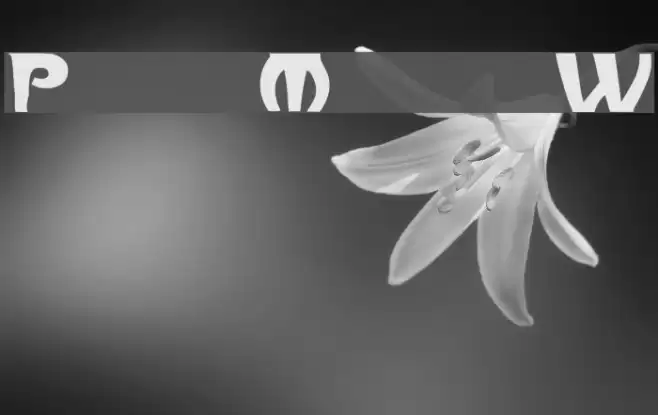 ParisMetro Wd Font examples