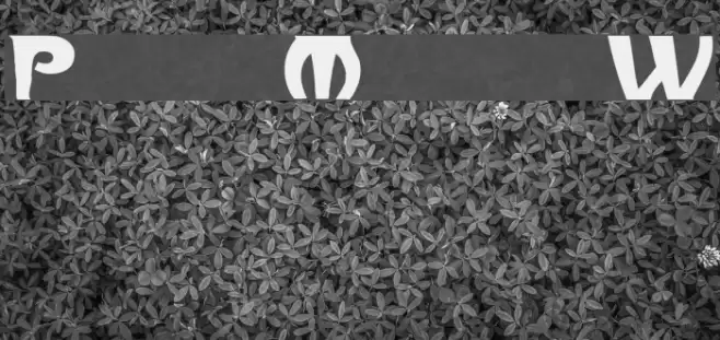 ParisMetro Wd Font examples