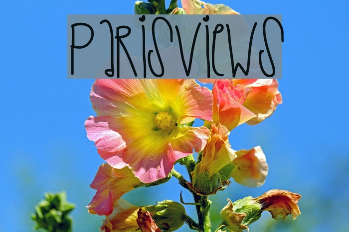 ParisViews Example 1