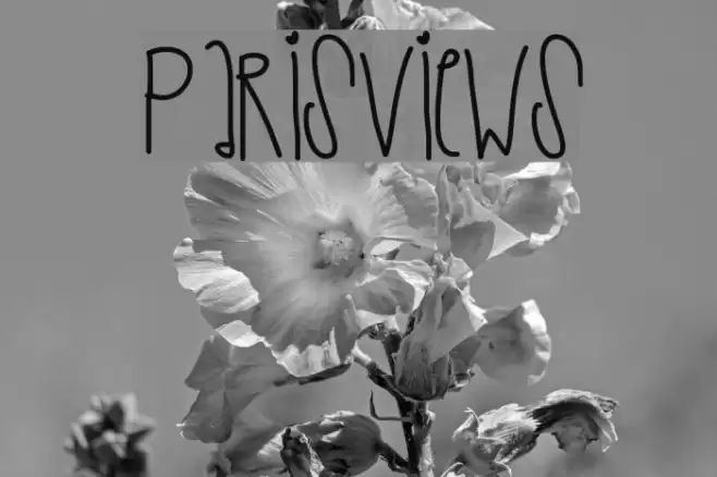 ParisViews Font examples