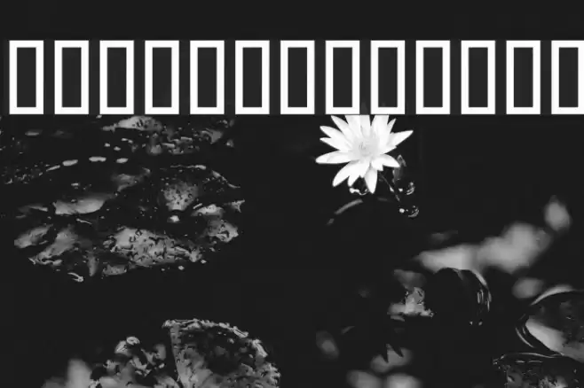 Parisaa Font examples