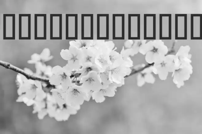 Parisaa Font examples