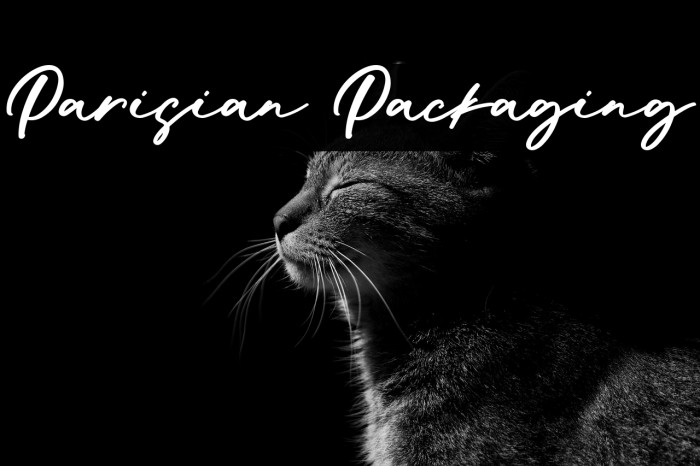 Parisian Packaging Example 2