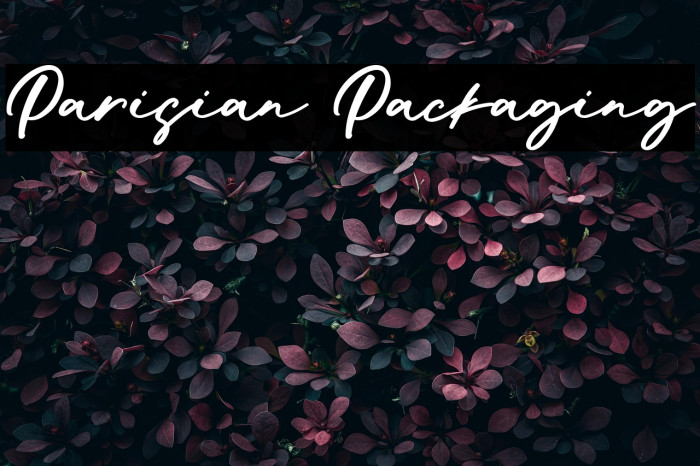 Parisian Packaging Example 3