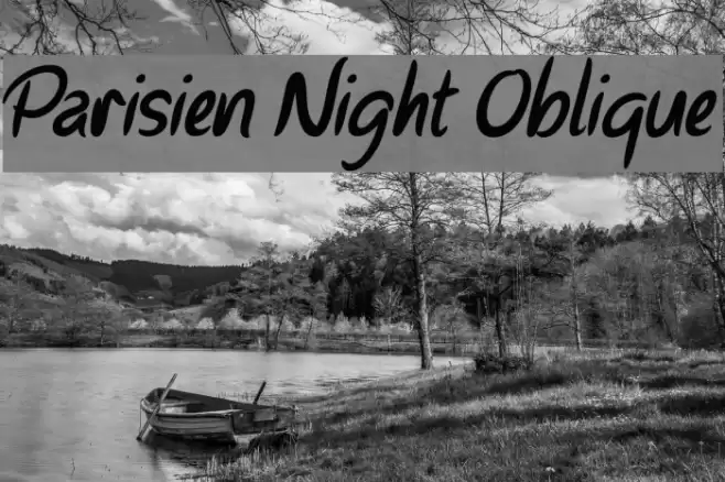 Parisien Night Oblique Font examples