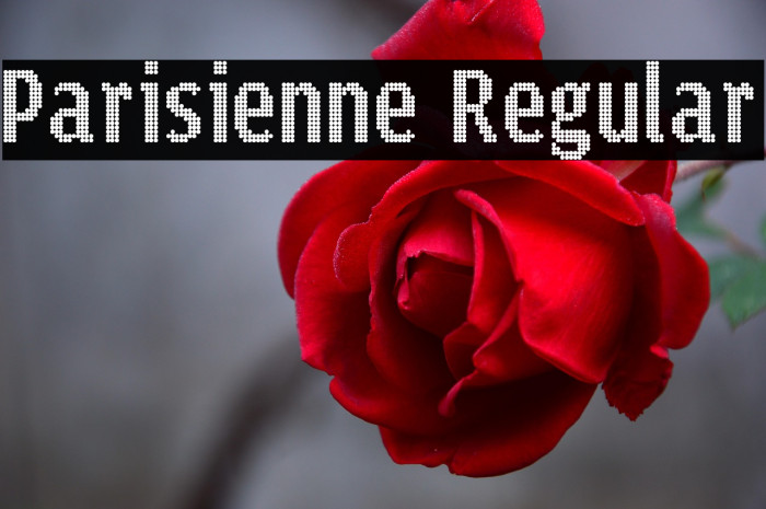 Parisienne Regular Example 3