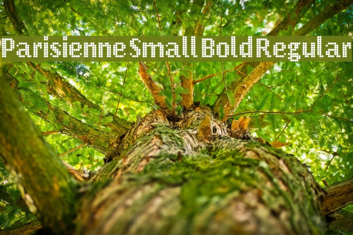 Parisienne Small Bold Regular Example 2
