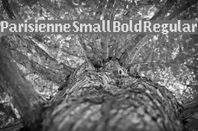 Parisienne Small Bold Regular Font examples