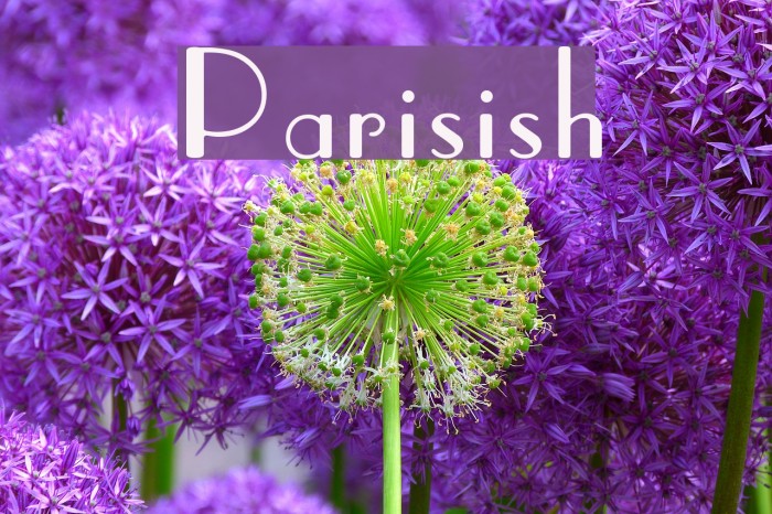 Parisish Font examples