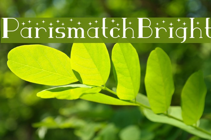 ParismatchBright Font examples