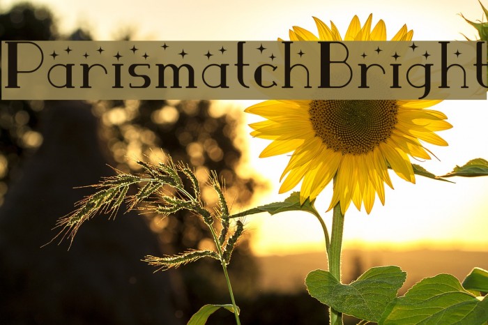 ParismatchBright Font examples