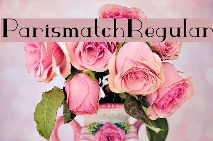 ParismatchRegular Font examples