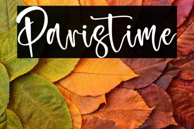 Paristime Example 1