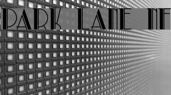 Park Lane NF Font examples